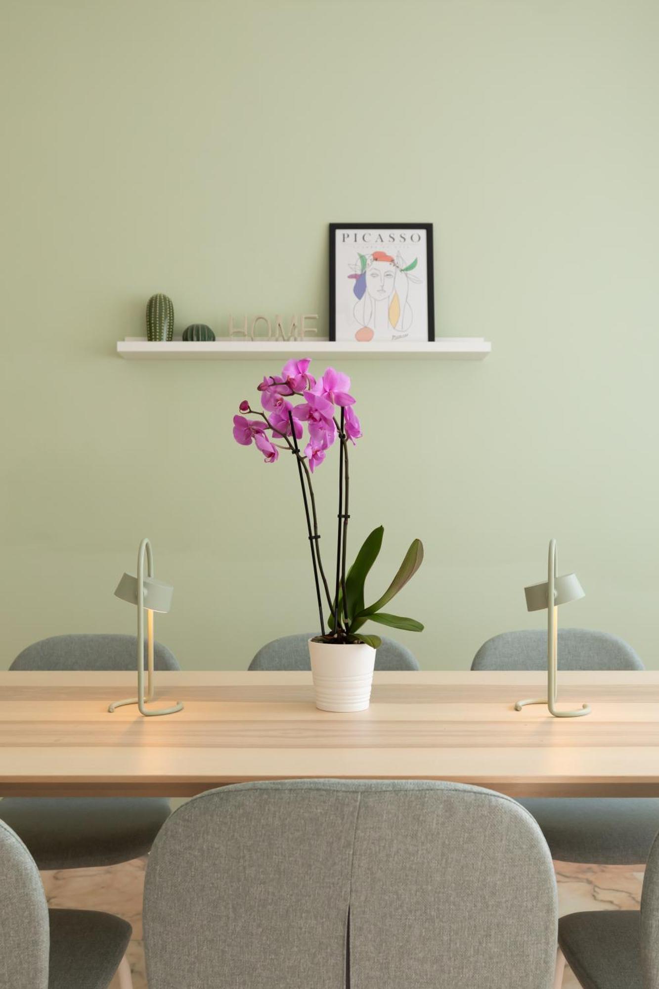 Domiziano Boutique Apartment Rome Bagian luar foto
